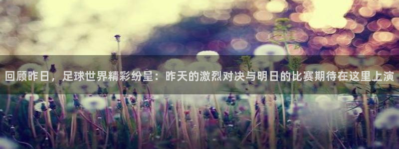 回顾昨日，足球世界精彩纷呈：昨天的激