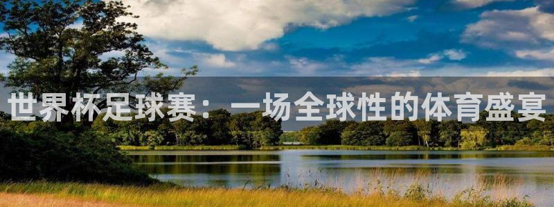 世界杯足球赛：一场全球性的体育盛宴