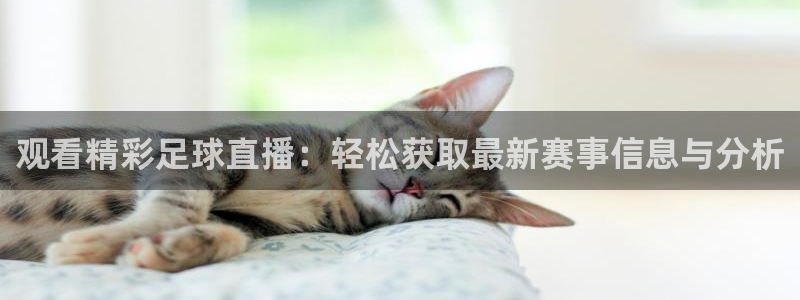  观看精彩足球直播：轻松获取最新赛事信息与分析