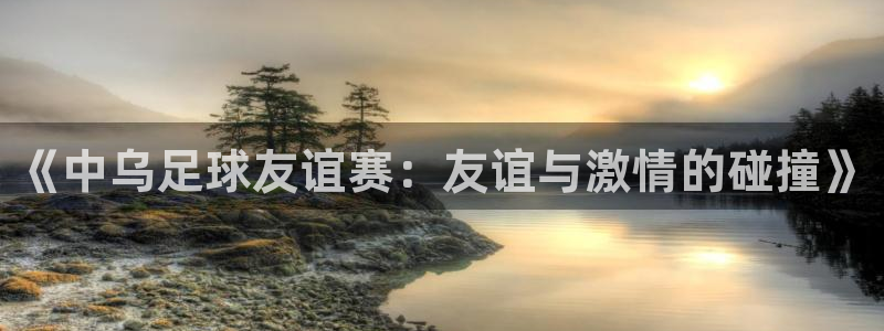 《中乌足球友谊赛：友谊与激情的碰撞》