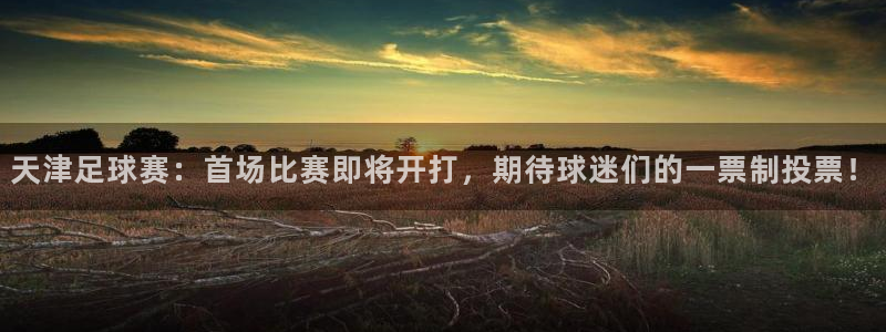 天津足球赛：首场比赛即将开打，期待球迷们的一票制投票！