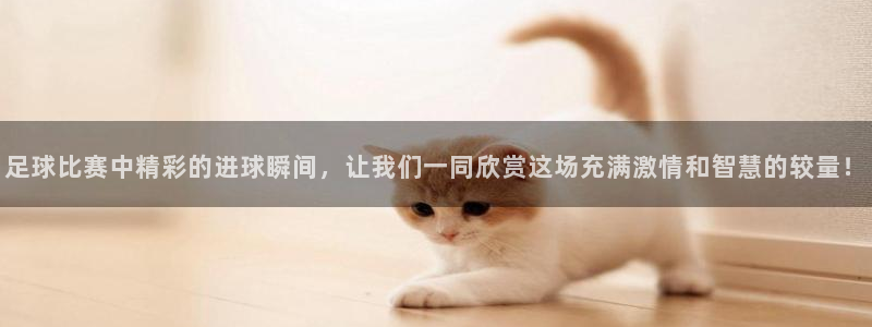  足球比赛中精彩的进球瞬间，让我们一同欣赏这场充满激情和智慧的