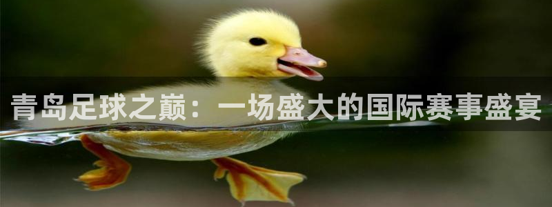 青岛足球之巅：一场盛大的国际赛事盛宴
