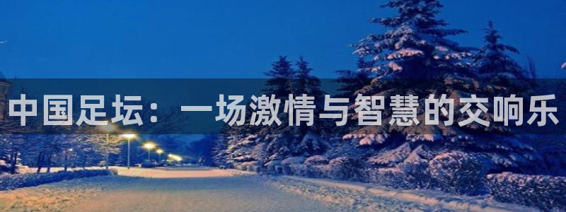 中国足坛：一场激情与智慧的交响乐