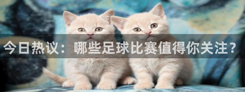 今日热议：哪些足球比赛值得你关注？