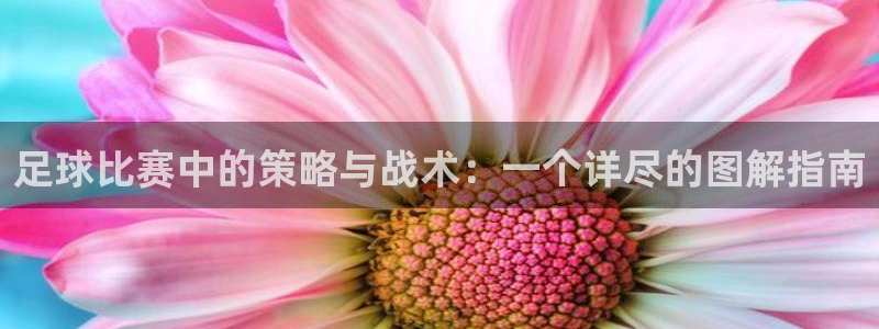  足球比赛中的策略与战术：一个详尽的图解指南