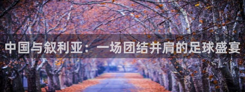 中国与叙利亚：一场团结并肩的足球盛宴