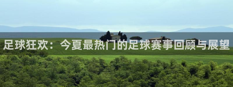  足球狂欢：今夏最热门的足球赛事回顾与展望