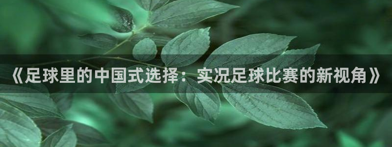  《足球里的中国式选择：实况足球比赛的新视角》