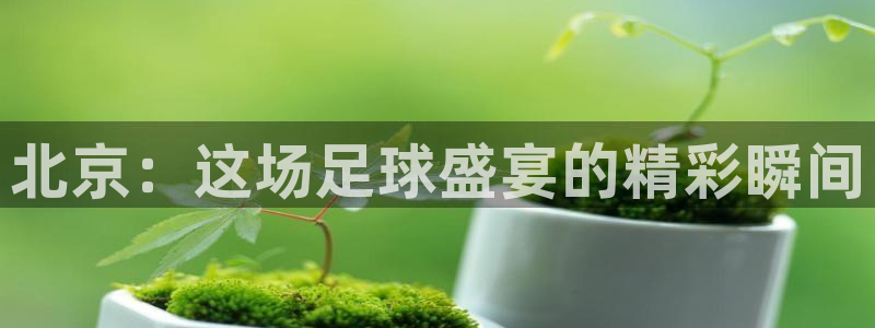 北京：这场足球盛宴的精彩瞬间