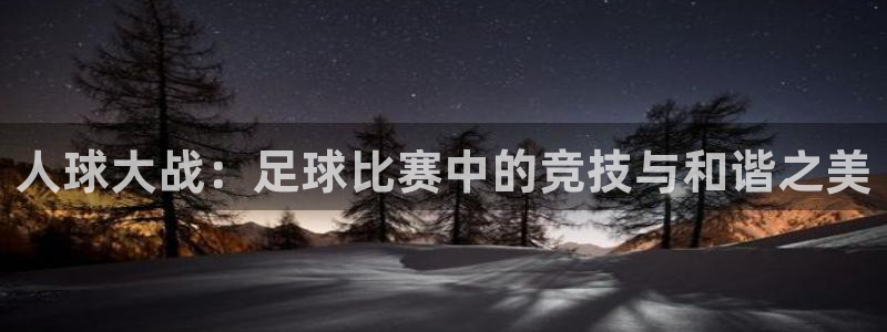 人球大战：足球比赛中的竞技与和谐之美