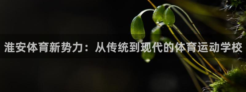 球速体育：淮安体育新势力：从传统到现代的体育运动学校