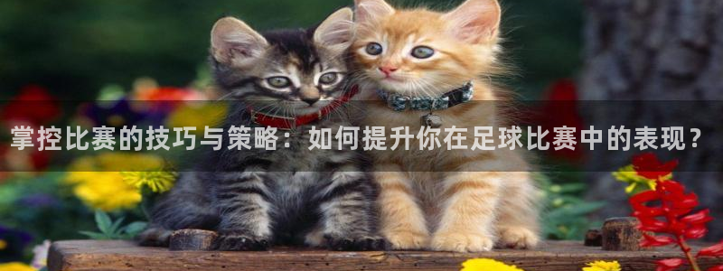 掌控比赛的技巧与策略：如何提升你在足