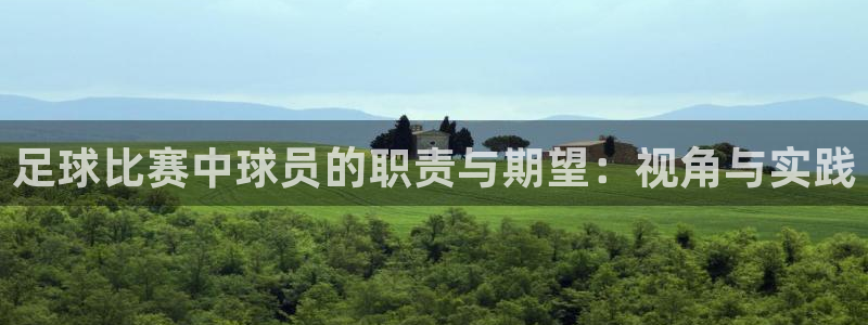 足球比赛中球员的职责与期望：视角与实