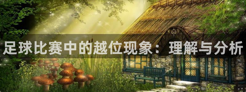 足球比赛中的越位现象：理解与分析