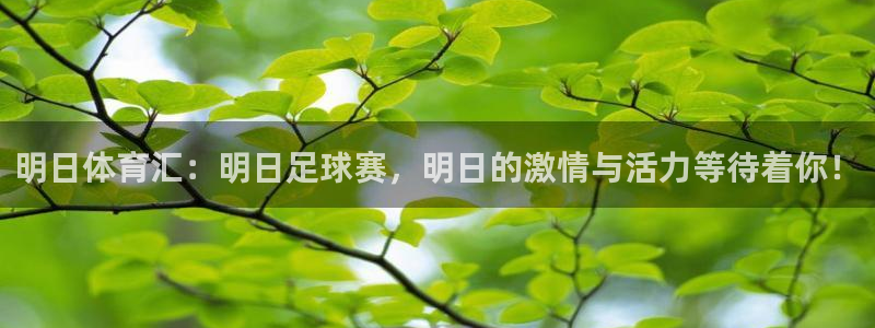 明日体育汇：明日足球赛，明日的激情与