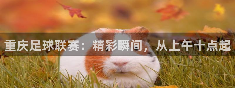 重庆足球联赛：精彩瞬间，从上午十点起