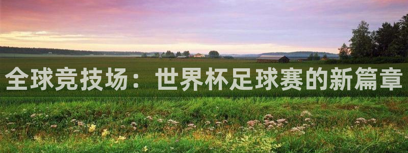 全球竞技场：世界杯足球赛的新篇章