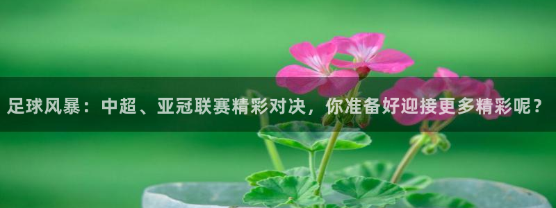 足球风暴：中超、亚冠联赛精彩对决，你