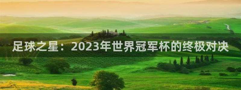 足球之星：2023年世界冠军杯的终极