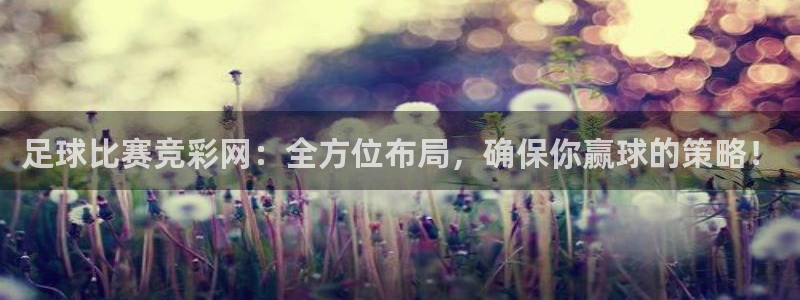 足球比赛竞彩网：全方位布局，确保你赢