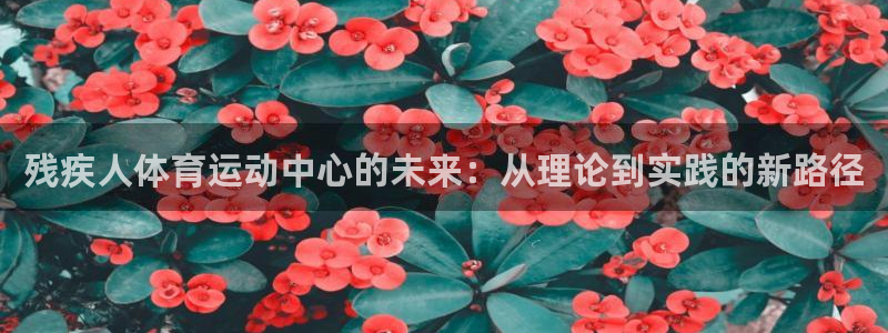 球速体育：残疾人体育运动中心的未来：从理论到实践的新路径