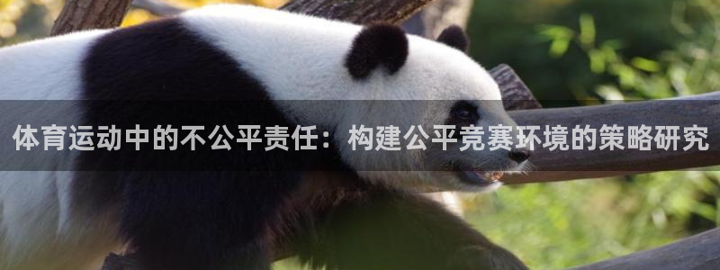 球速体育：体育运动中的不公平责任：构建公平竞赛环境的策略研究