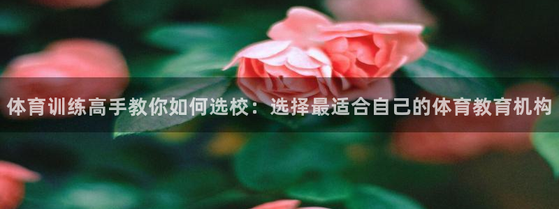 球速体育：体育训练高手教你如何选校：选择最适合自己的体育教育机构