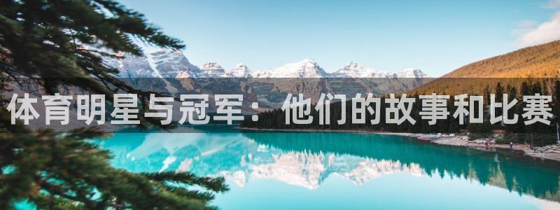 球速体育：体育明星与冠军：他们的故事和比赛