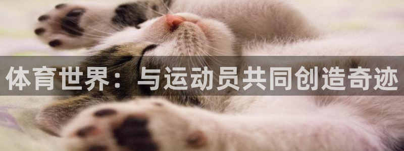 球速体育：体育世界：与运动员共同创造奇迹