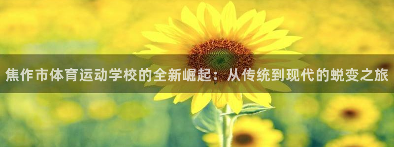 球速体育：焦作市体育运动学校的全新崛起：从传统到现代的蜕变之旅