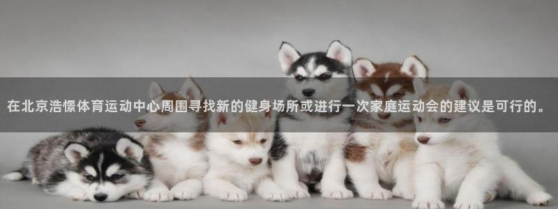 球速体育：在北京浩憬体育运动中心周围寻找新的健身场所或进行一次家庭运动会的建议是可行的。