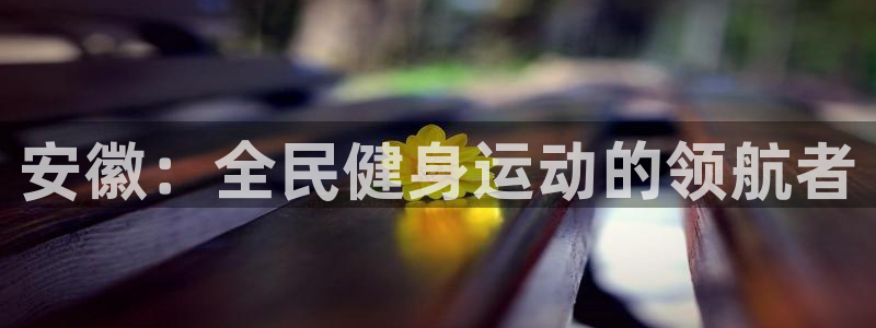 球速体育：安徽：全民健身运动的领航者