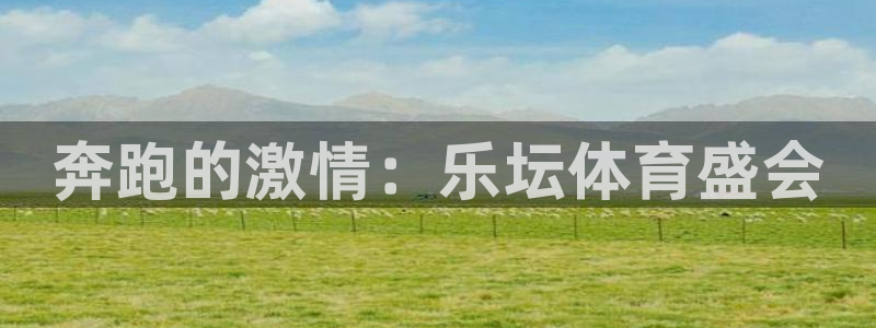 球速体育：奔跑的激情：乐坛体育盛会